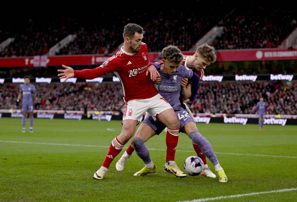 年欧洲冠军 年欧洲冠军