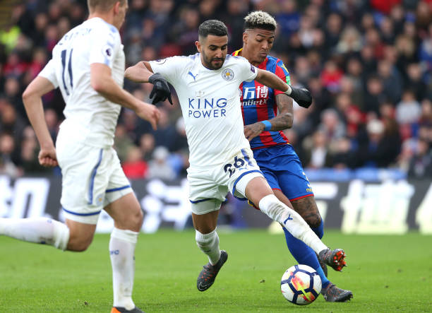 和球迷情感 和球迷情感