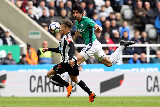 的关键合作 的关键合作