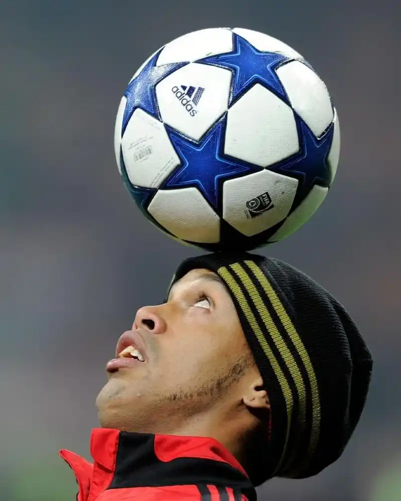 的适应能力 的适应能力